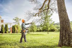 Best Lawn Maintenance Plans  in Harpersville, AL