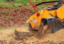 Best Tree Removal  in Harpersville, AL