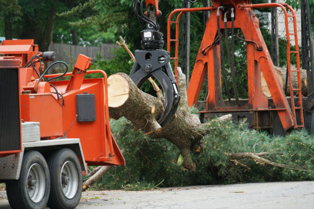 Best Grass Overseeding  in Harpersville, AL